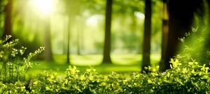 Quelle: AdobeStock_622628042