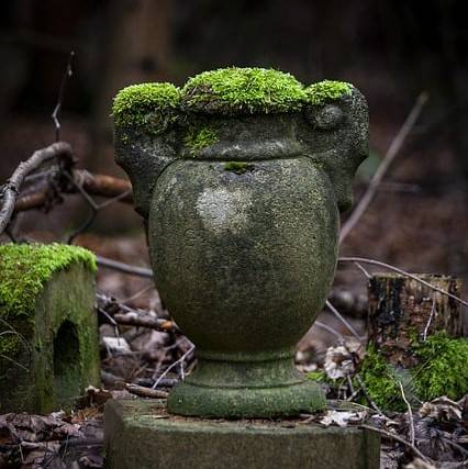 Quelle: https://pixabay.com/de/photos/vase-urne-moos-friedhof-vegetation-7744640/