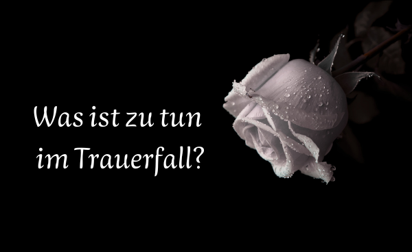 Quelle: Canva Magic Media